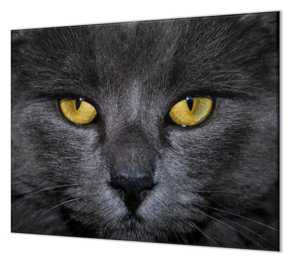 Ochranná doska detail tváre čierna mačka - 40x60cm / ANO