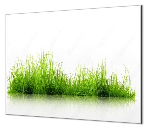 Ochranná doska zelená tráva na bielom podklade - 52x60cm / ANO