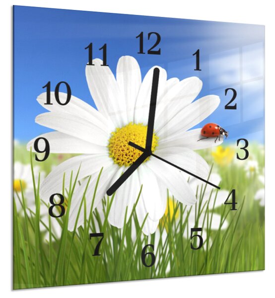 Nástenné hodiny 30x30cm biely kvet margarétky a lienkou - plexi
