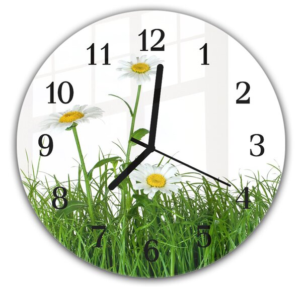 Nástenné hodiny okrúhle pr.30cm tri kvety bielej margaréty v tráve - plexi