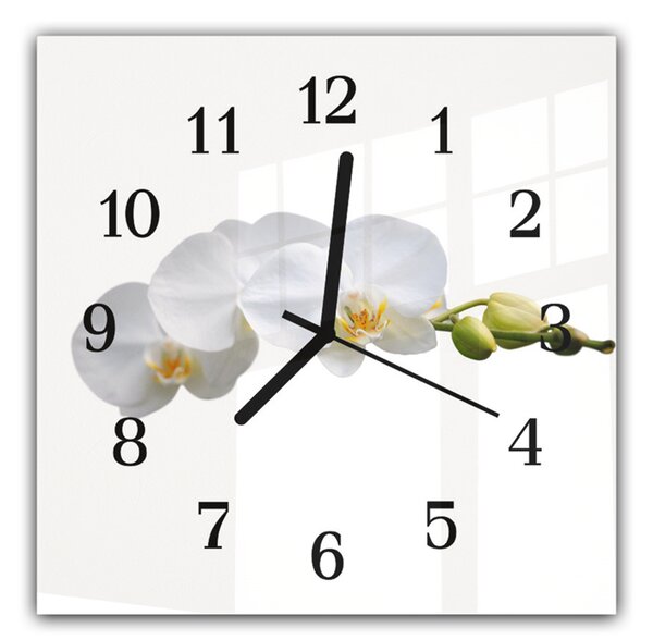 Nástenné hodiny 30x30cm biele kvety orchidey na stonke a bielom pozadí - plexi