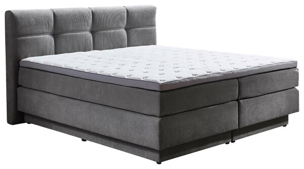 BOXSPRINGOVÁ POSTEĽ, 160/200 cm, sivá Carryhome - Online Only spálne, Online Only