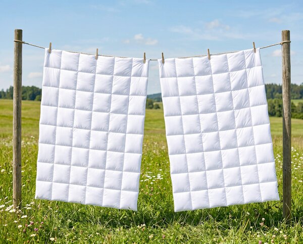 POSTEĽNÁ SADA, polyester, 135/200 cm Billerbeck - Prikrývky & vankúše