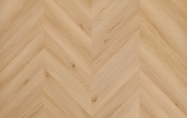 Arbiton Amaron Chevron CLC 153 DUB YANKEE