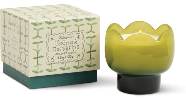 Paddywax Tulip Verbena & Lemongrass vonná sviečka 155 g