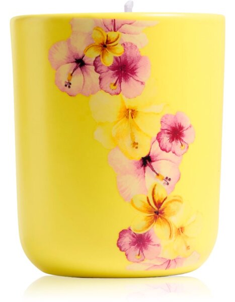 Ípuro Travel The World Hawaii vonná sviečka s viečkom 270 g