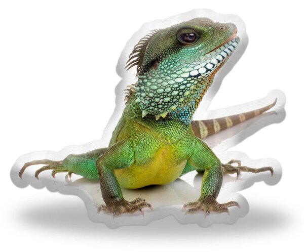 Sablio 3D vankúš Leguán 39×50cm
