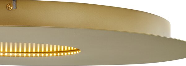 Moderné stropné svietidlo zlaté 60 cm vrátane LED s 3-stupňovým stmievaním - Morning