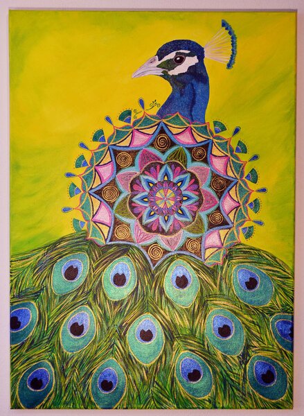 Mandala páv 50 x 70 cm - ručne maľovaný obraz