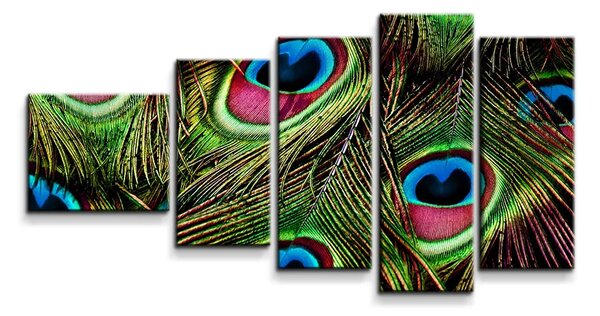 Sablio Obraz - 5-dílný Pávie perie - 100x60 cm