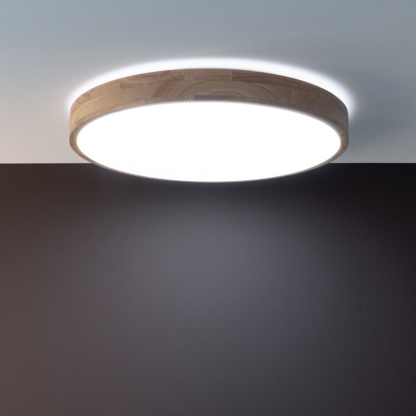 Brilliant - LED stmievané stropné svietidlo SLIMLINE LED/60W/230V + diaľkové ovládanie
