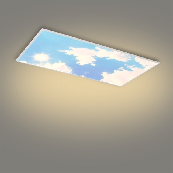 Brilagi - LED stmievateľné stropné svietidlo SLIMFRAME SKY LED/80W/230V 120x60 cm + diaľkové ovládanie