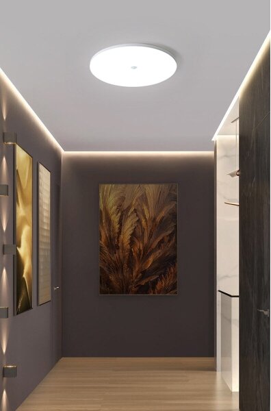 LED stropné svietidlo so senzorom súmraku a pohybu MORETTI 24W/230V pr. 30 cm IP40 6500K