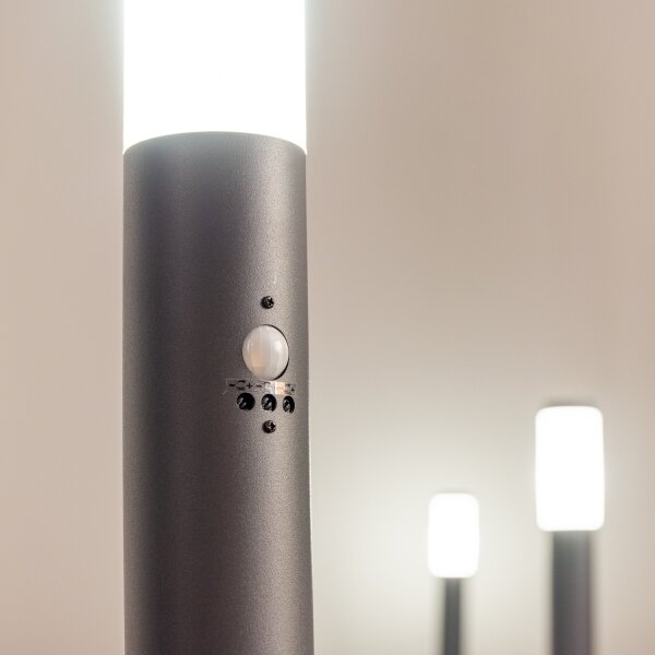 BRILAGI - Vonkajšia lampa s pohybovým čidlom ELIA 1xE27/20W/230V IP44 50 cm antracit