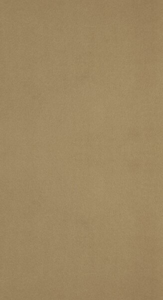 ZATEMŇOVACÍ ZÁVES NA PÁSKE ANTARA 140X300 CM TMAVOBÉŽOVÁ