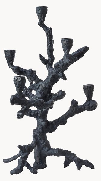 Svietnik Apple Tree