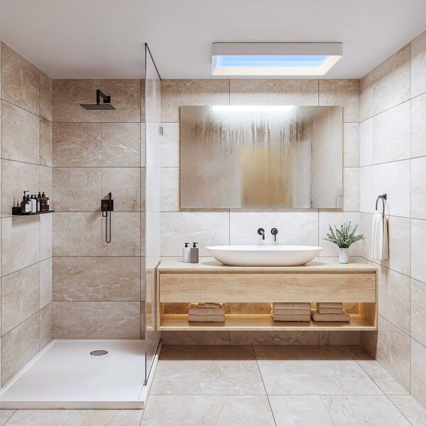 Stropné LED svetlo Philips SKYLIGHT, 65 x 45 cm, biele, IP44, Biela / opálová, Obývacia izba / jedáleň, Plast, Moderný, Stropné svetlo