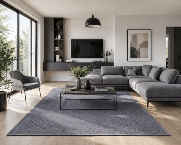 Vopi, Kusový koberec Astra šedá, 57x120, šedá, chodba / predsieň