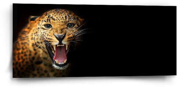 Sablio Obraz Gepard 2 - 110x50 cm