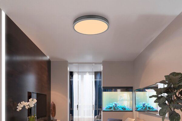 STROPNÉ LED SVIETIDLO, 45/8,5 cm Globo - Interiérové svietidlá