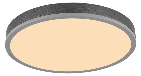 STROPNÉ LED SVIETIDLO, 45/8,5 cm Globo - Interiérové svietidlá