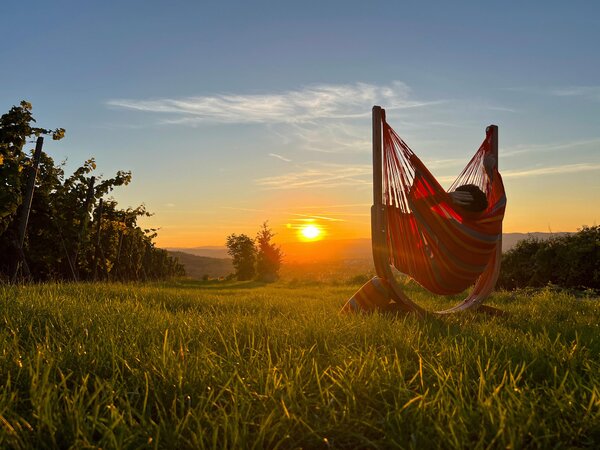HOJDACIA SIEŤ La Siesta - Online Only záhrada, Online Only