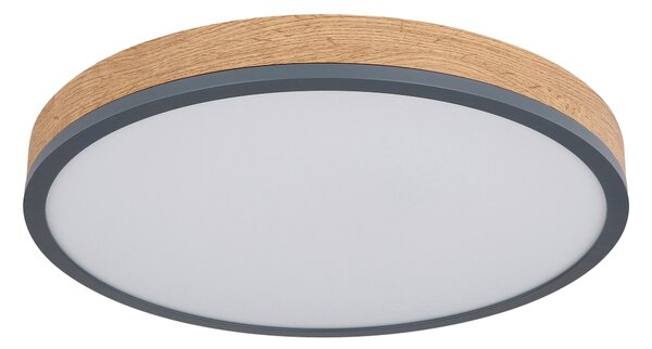 STROPNÉ LED SVIETIDLO, 45/8,5 cm Novel - Interiérové svietidlá