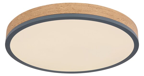 STROPNÉ LED SVIETIDLO, 45/8,5 cm Novel - Interiérové svietidlá