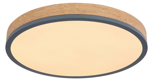 STROPNÉ LED SVIETIDLO, 45/8,5 cm Novel - Interiérové svietidlá